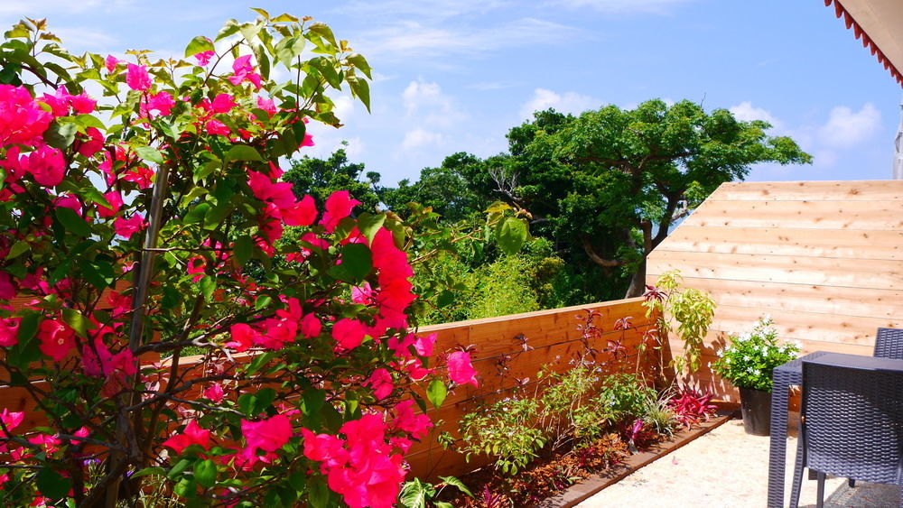 Ocean Hills Kouri Hotel Nakijin Exterior photo
